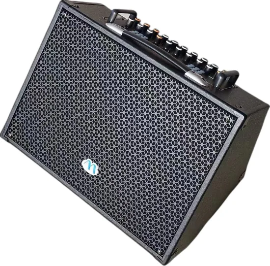 8′ ′ Wireless Portable Blue Tooth Electric Guitar Speaker Rechargeable Battery Powered PA System PRO Audio Bass Treble Amplifier